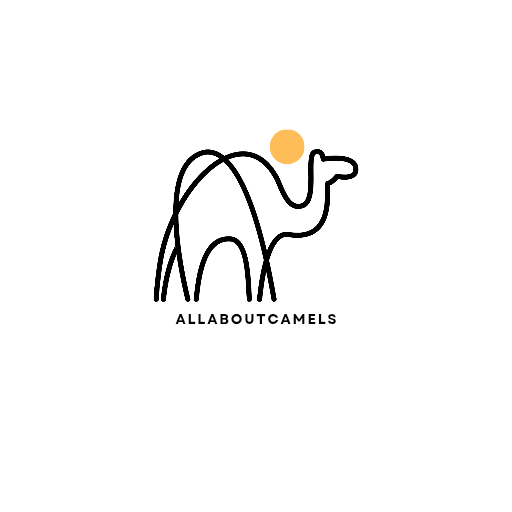 allaboutcamels.online